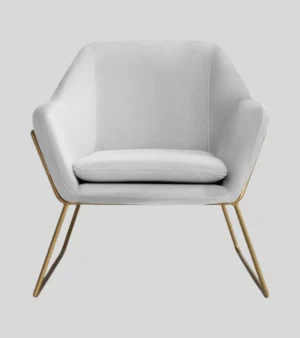 Chair (2) Velvet Accent Chair