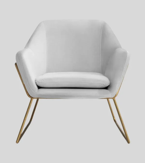 Chair (2) Velvet Accent Chair